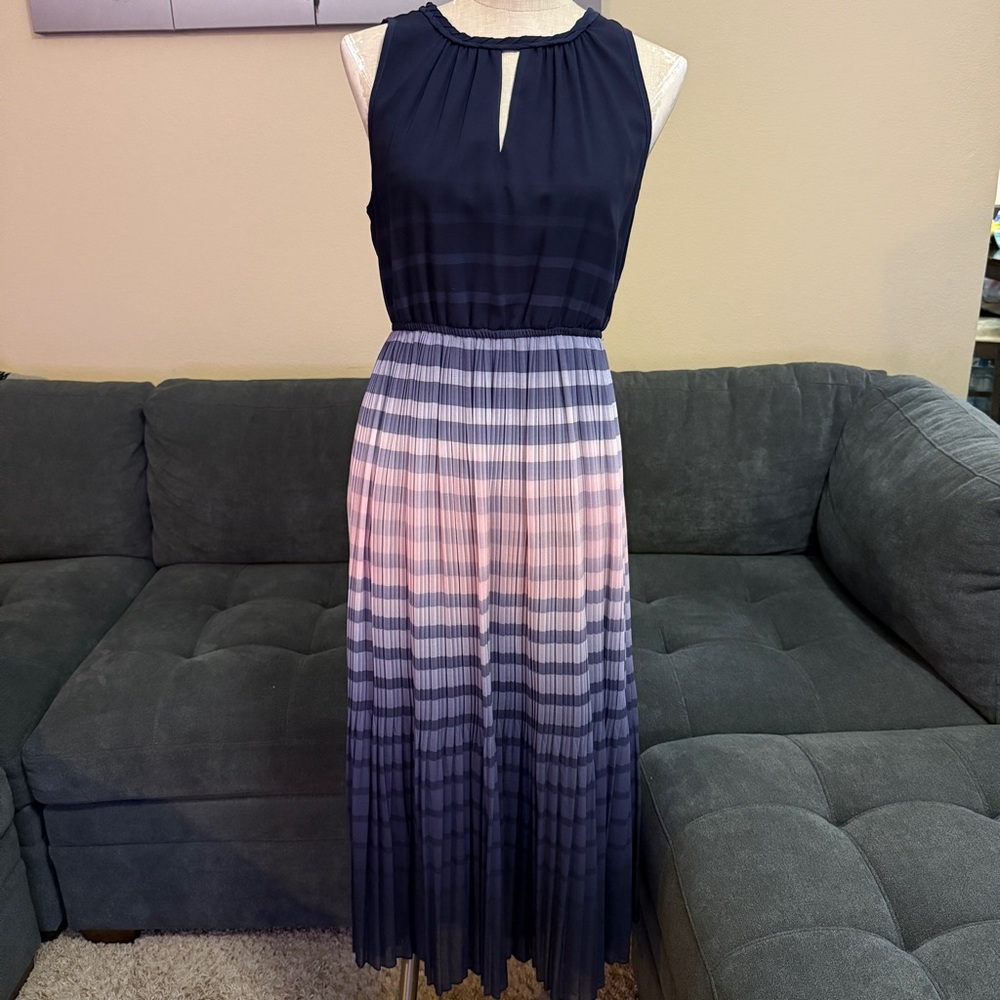 Masion Jules Navy and Pink Ombre Maxi Dress